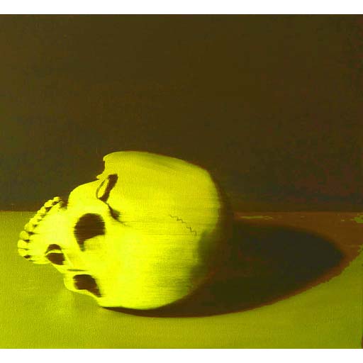 yellow skull, photorealism, contemporary art, photorealist, painting, contemporary art, Nicholaas Chiao, artist, art